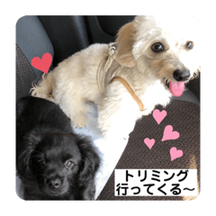 Nanami_20201022215139