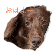 saori_20201022220503