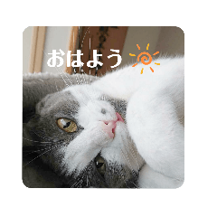 riho_20201022212650