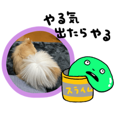 HIROKI_20201023043907