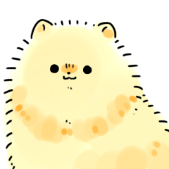 yellow Pomeranian 2
