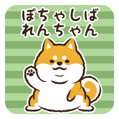 Pocha Shiba Renchan