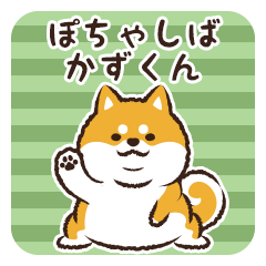 Pocha Shiba Kazukun