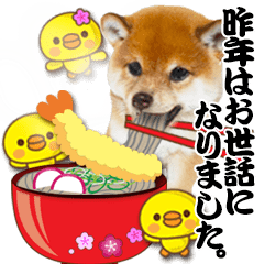 It moves! Cute dogs