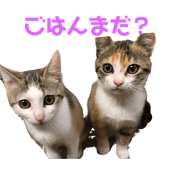 Cherry_20201023140558