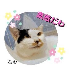 保護猫カフェさくらスタンプ03☆