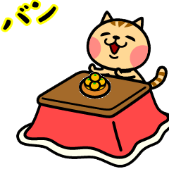 The kotatsu cat moves