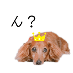 Emily_20201022222142