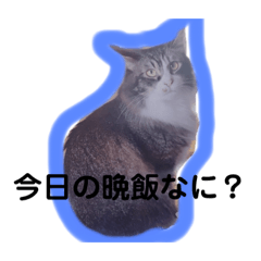 mochi_20201023171017