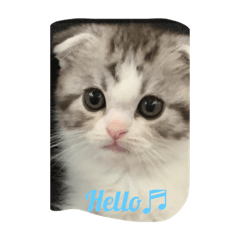 akiko_20201023173852