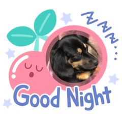 かわいいあんこちゃん Lineクリエイターズスタンプ Stamplist かわいいあんこちゃん Lineクリエイターズスタンプ Stamplist