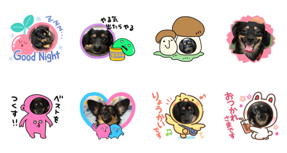 かわいいあんこちゃん Lineクリエイターズスタンプ Stamplist かわいいあんこちゃん Lineクリエイターズスタンプ Stamplist