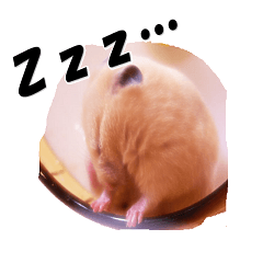 DAIZU sticker