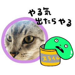 HARUNA_20201023201905