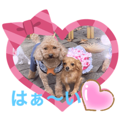 yukari_20201023211238