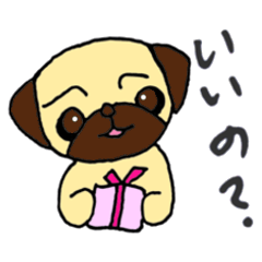 Child Pug's Pusuke