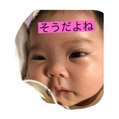 aoi.2880