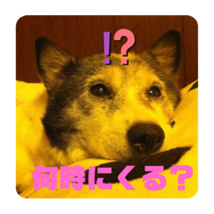 Hana_20201023235141