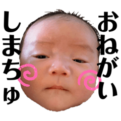 CHIHIRO_20201023214534