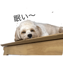 とても可愛い犬のスタンプ Lineクリエイターズスタンプ Stamplist