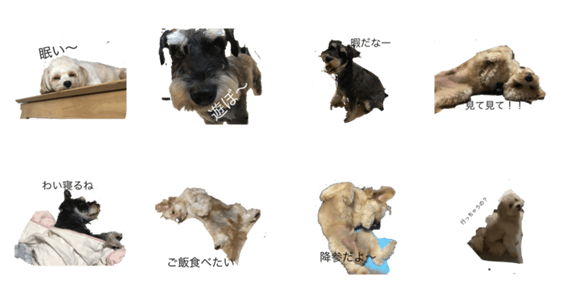 とても可愛い犬のスタンプ Lineクリエイターズスタンプ Stamplist とても可愛い犬のスタンプ Lineクリエイターズスタンプ Stamplist