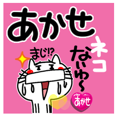 [あかせ]ネコVS　コロナ。