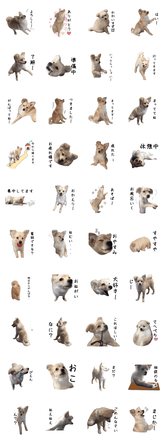 チョコちゃんスタンプpart1 Lineクリエイターズスタンプ Stamplist