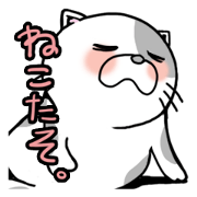 Cat's everyday stamp
