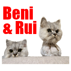 Beni & Rui