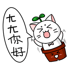 鉢植えの猫-デイリーライフ