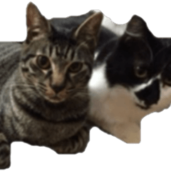 Mame and Lulu