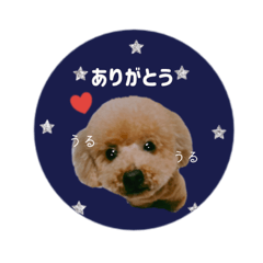 Nemu.T__coton stickers