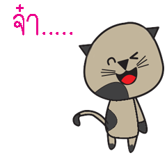 KAO TAM (Cat mischievous mood)