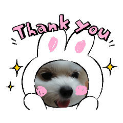 Omochi_20201024182039