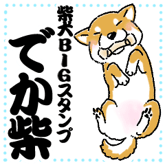 柴犬スタンプ24 でか柴 赤柴bigスタンプ Line スタンプ Line Store 柴犬スタンプ24 でか柴 赤柴bigスタンプ Line スタンプ Line Store