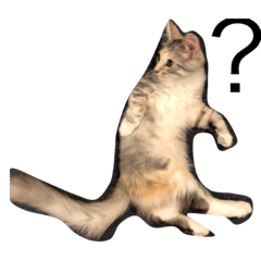 himawari_20201024201312