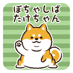 Pocha Shiba Takechan