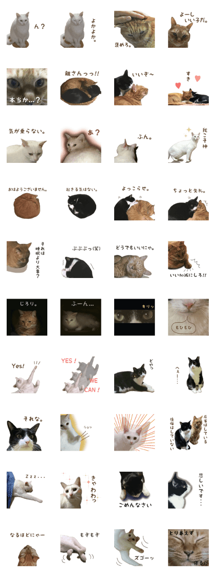 3cats!