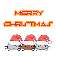 papa_20201025123133