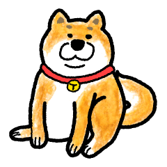 A Shiba dog Various expressions.