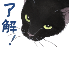 ゆめねこ5黒 Line スタンプ Line Store ゆめねこ5黒 Line スタンプ Line Store