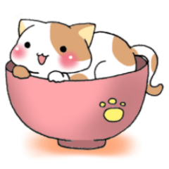 Bowl of cat