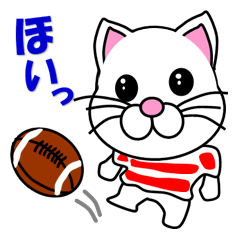 A white cat which plays rugby football