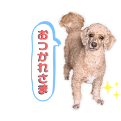 hana_20201025203854