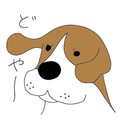 Beagle dog GAKU 2