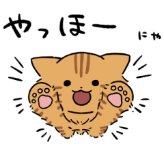 Long hair red tabby cat sticker 2