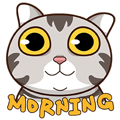 Morningthecat