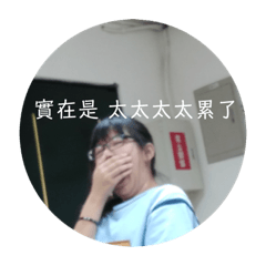 美若天仙澳洲原生短尾袋鼠