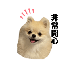 Konatsu sticker Chinese ver.