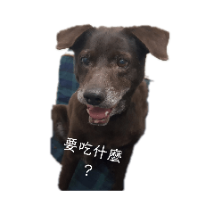 嘎厭花黑